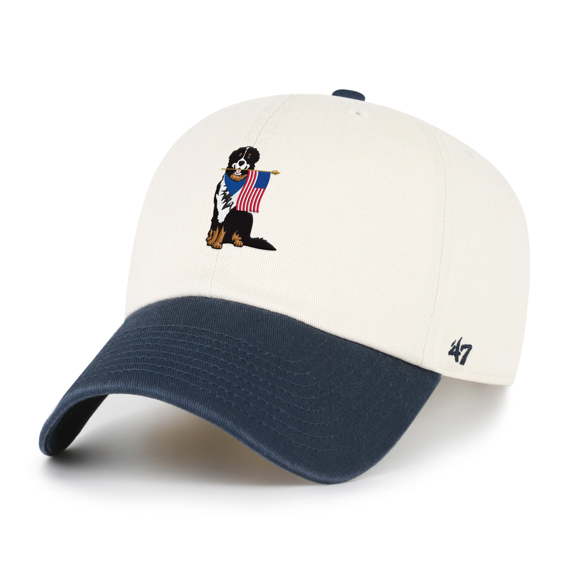 Bernese Mountain Dog Two Tone '47 Clean Up