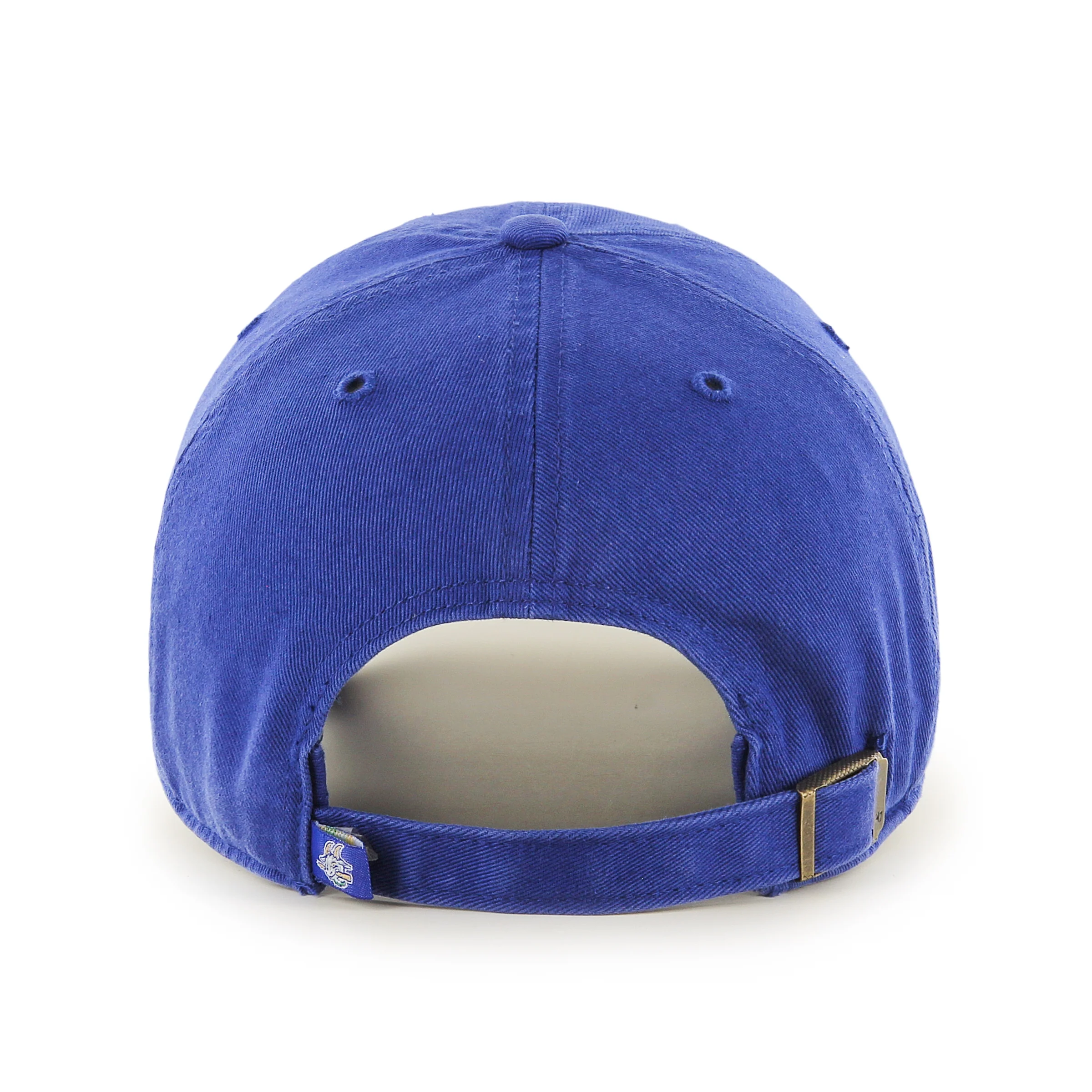 HARTFORD YARD GOATS '47 CLEAN UP - Image 2