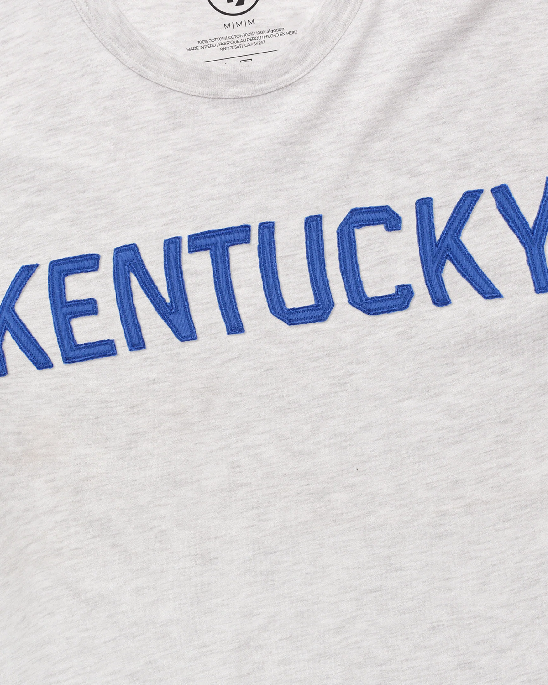 KENTUCKY WILDCATS VINTAGE '47 FRANKLIN FIELDHOUSE TEE - Image 2