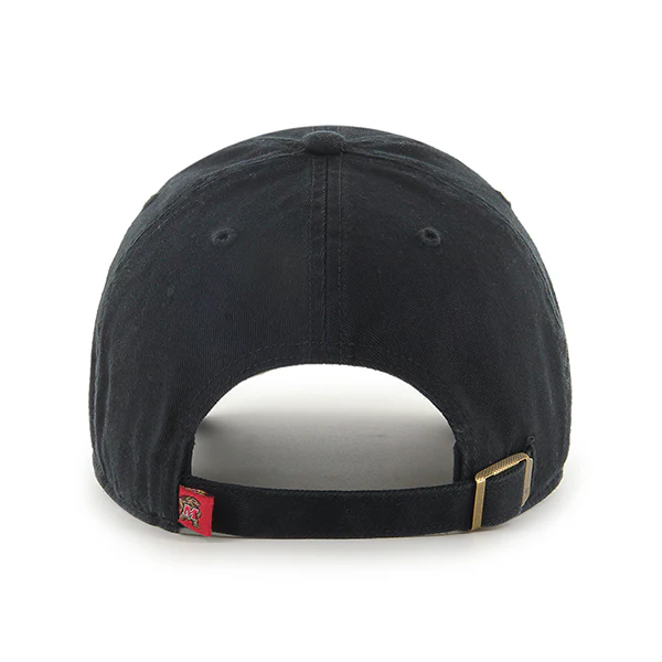 MARYLAND TERRAPINS '47 CLEAN UP - Image 2