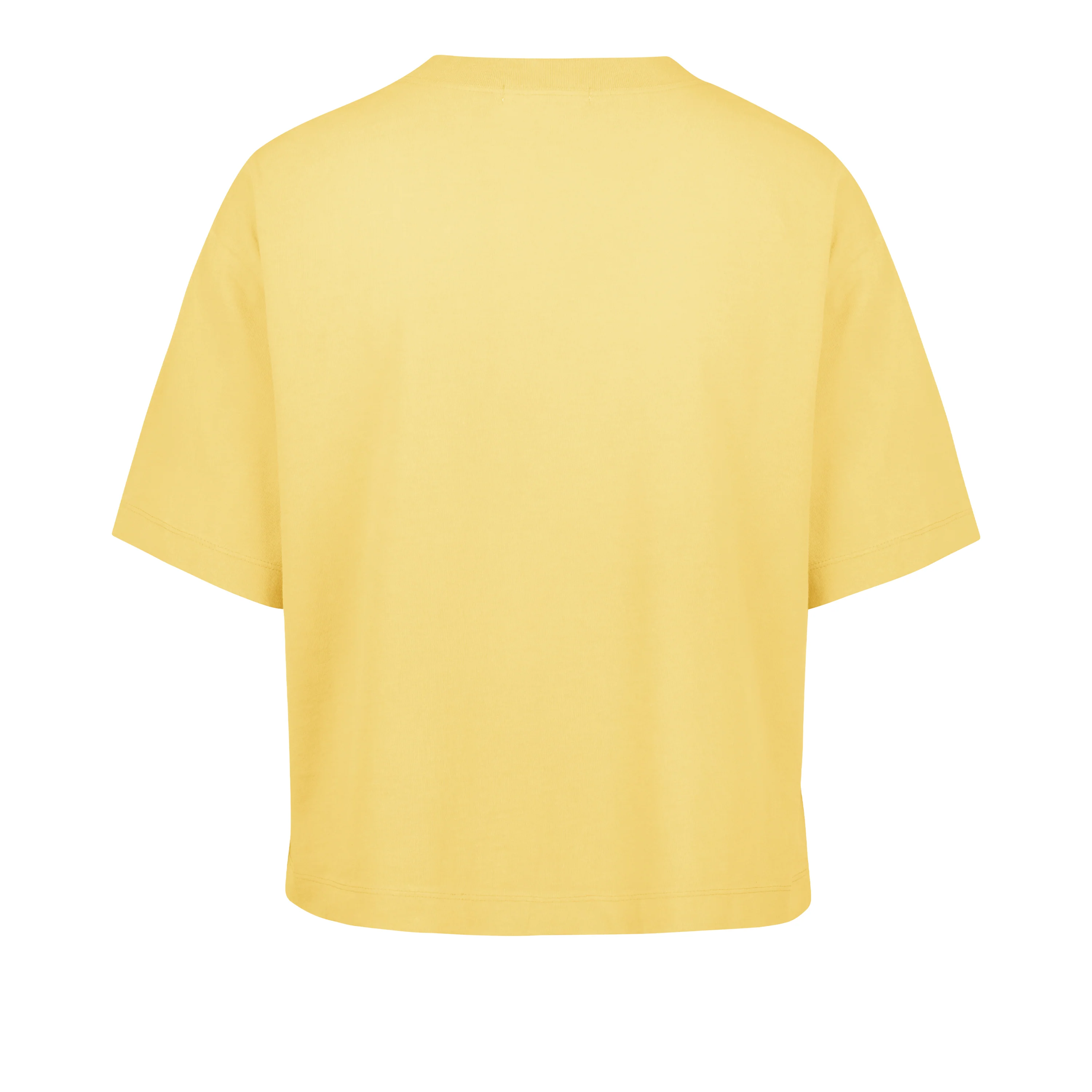 MINNESOTA GOLDEN GOPHERS WINDTHROW '47 RAVINE CROP TEE WOMENS - Image 2