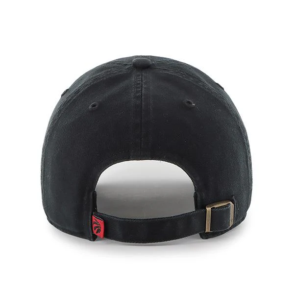 TORONTO RAPTORS '47 CLEAN UP - Image 2